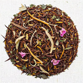 Infuso alisia gusto fresco